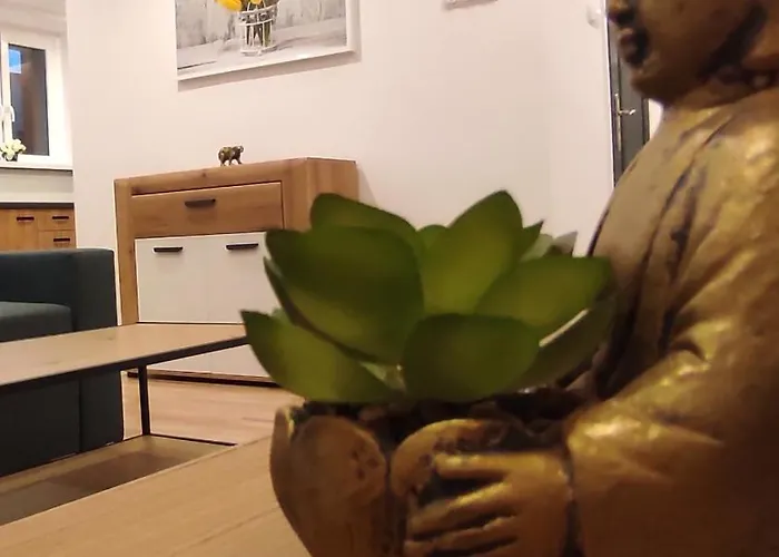 Alicante Apartament - 48M² ✓
