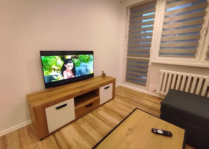 Alicante Apartament - 48M² ✓
