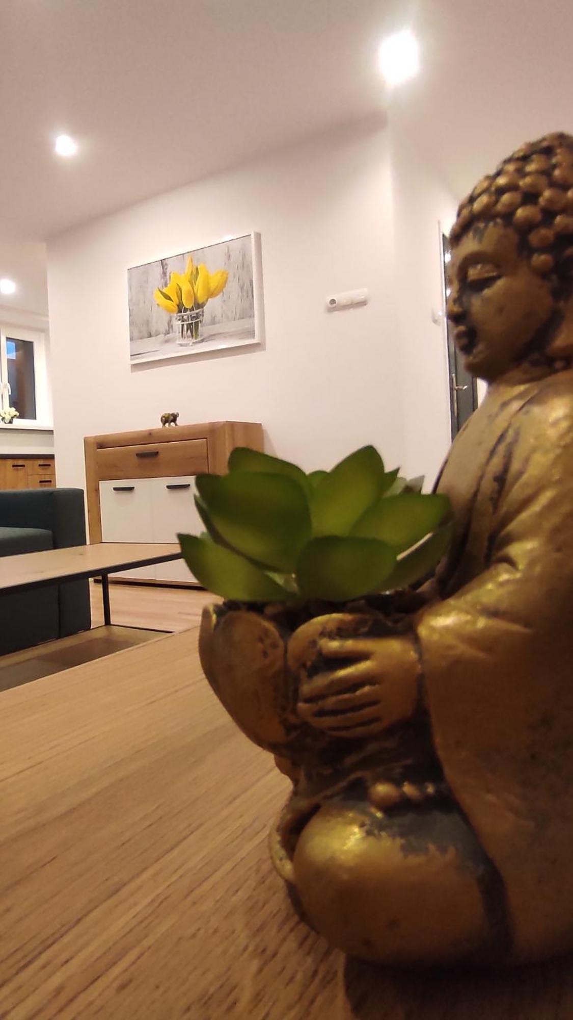 Alicante - 48m² ✓