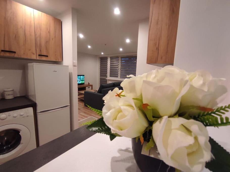 Alicante - 48m² ✓ *