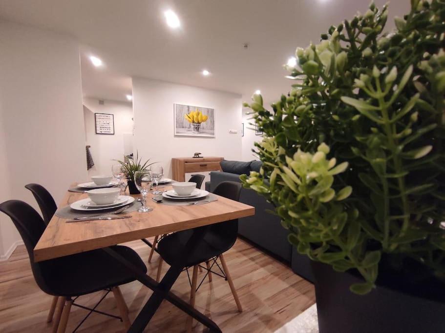 Alicante - 48m² ✓ Rybnik (Silesia)