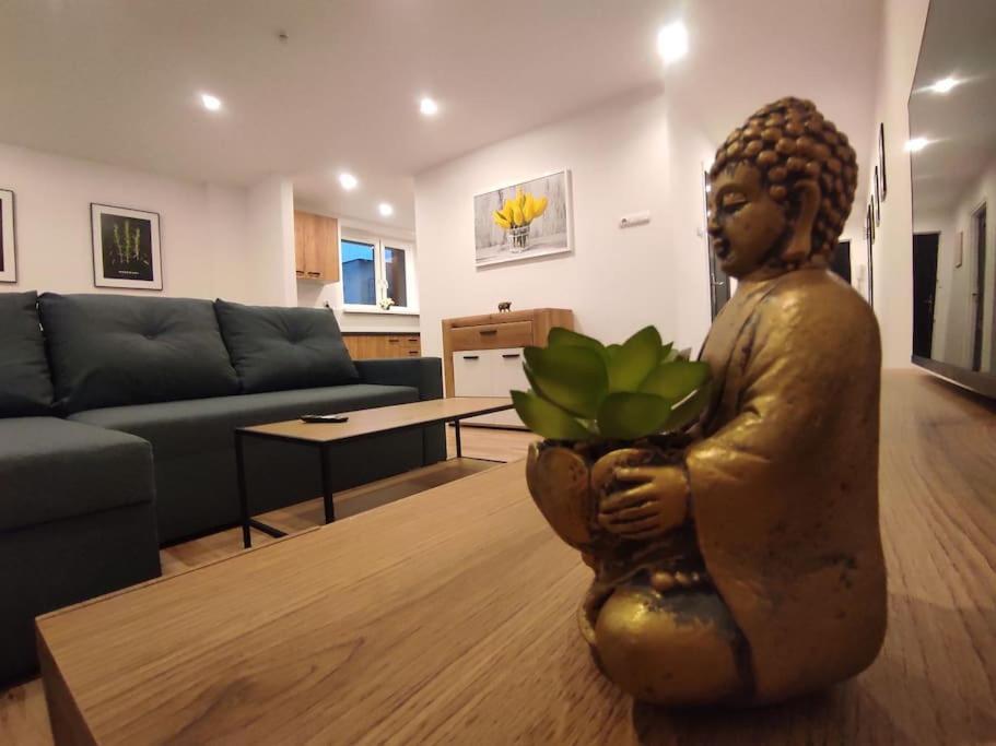 Alicante - 48m² ✓ * Rybnik (Silesia)
